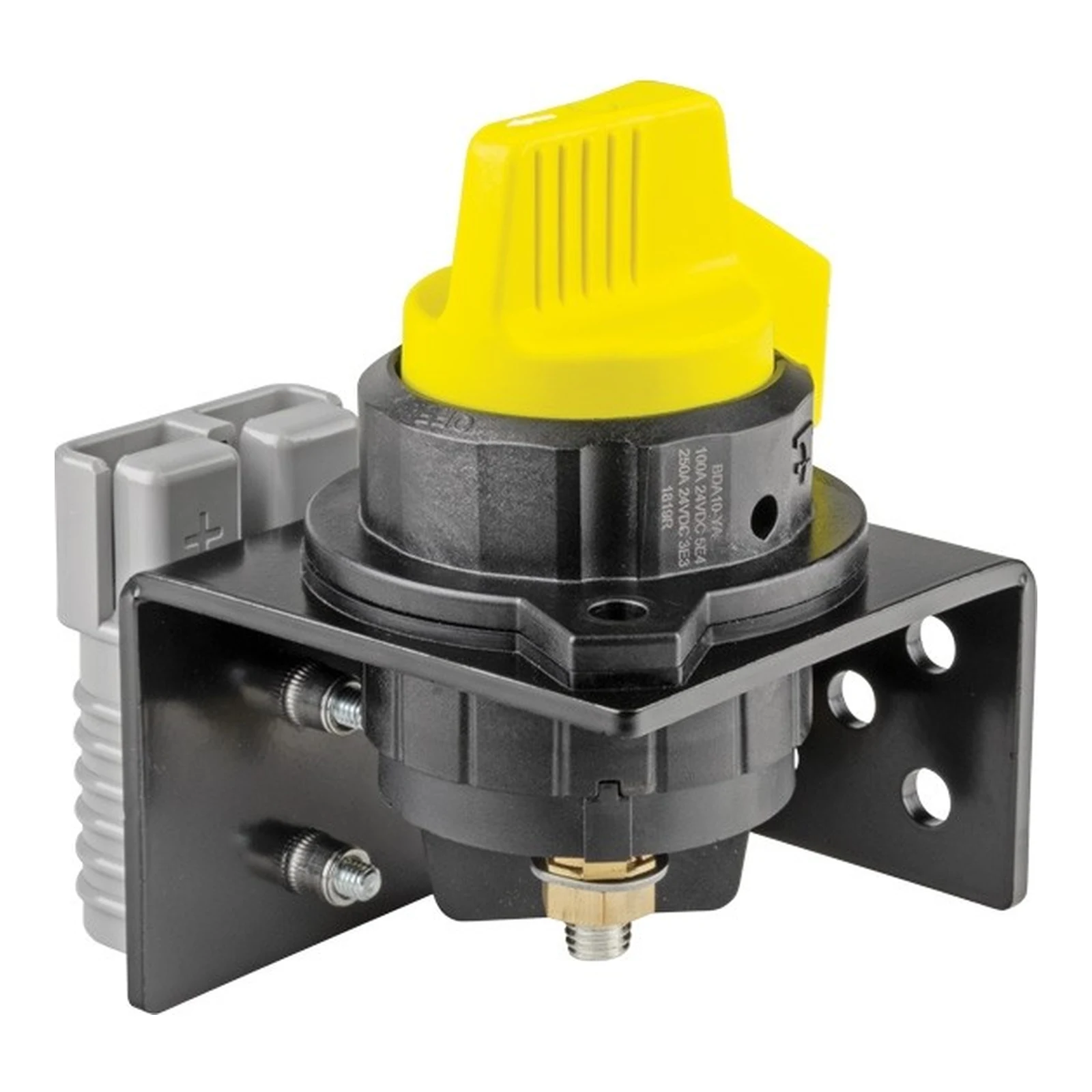 Ionnic msu-15-1